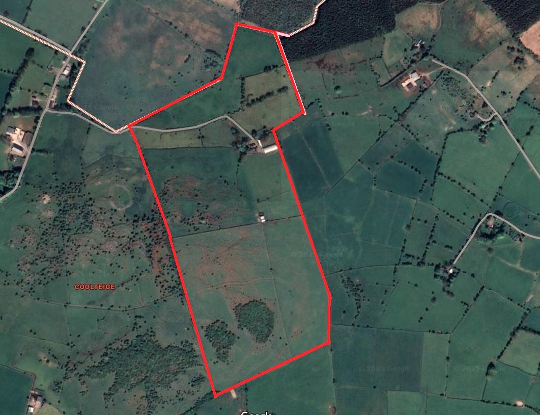 Substantial Residential Farm for Sale Roscommon